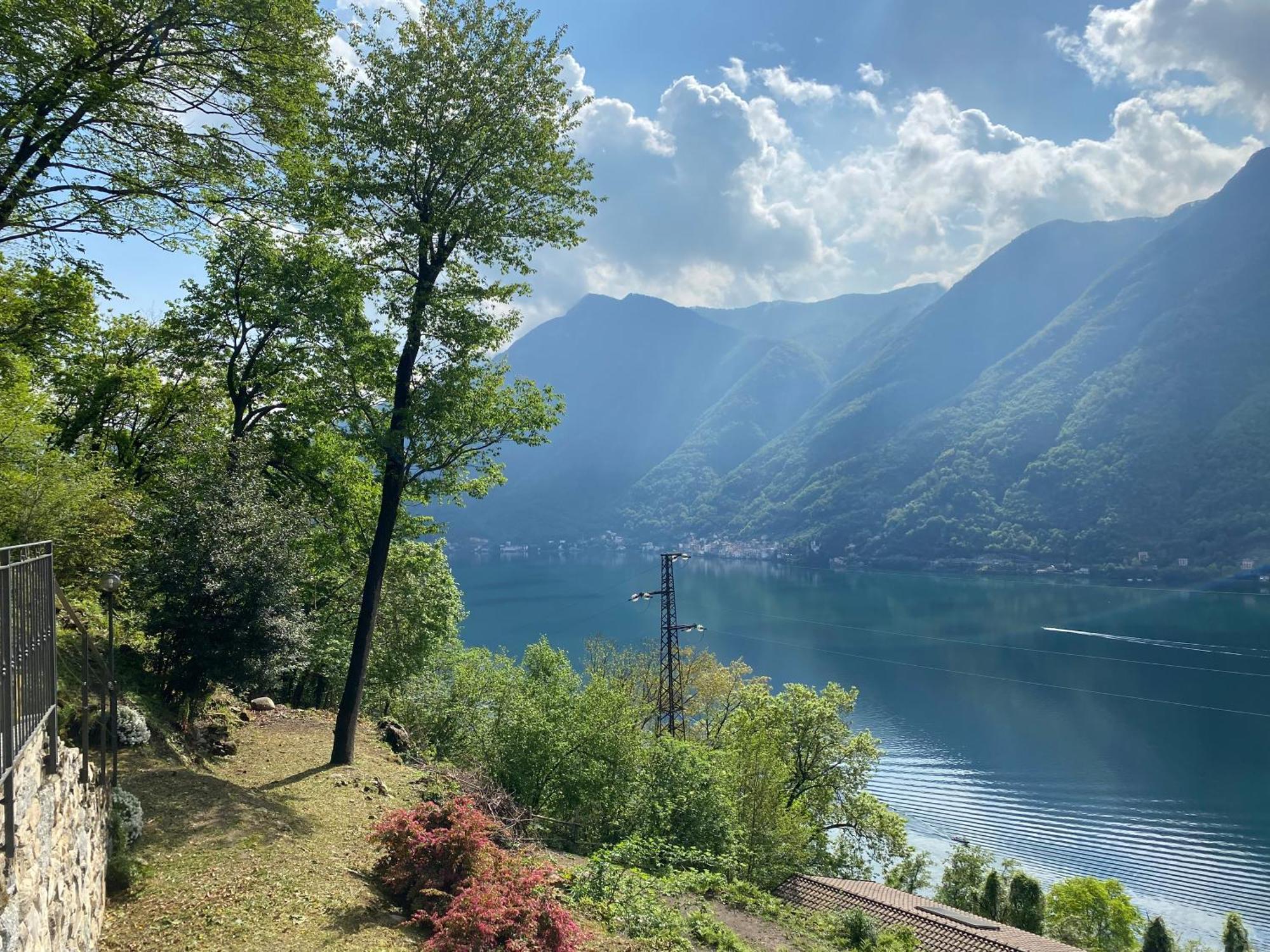 Tra Lago E Montagna Baita La Morena Nesso Eksteriør billede