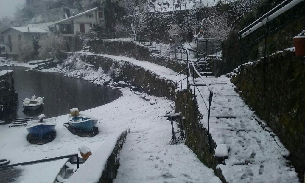 Tra Lago E Montagna Baita La Morena Nesso Eksteriør billede