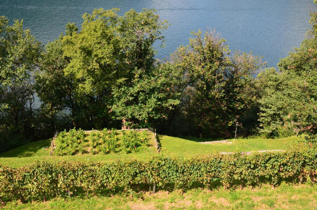 Tra Lago E Montagna Baita La Morena Nesso Eksteriør billede