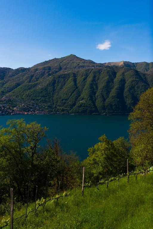 Tra Lago E Montagna Baita La Morena Nesso Eksteriør billede