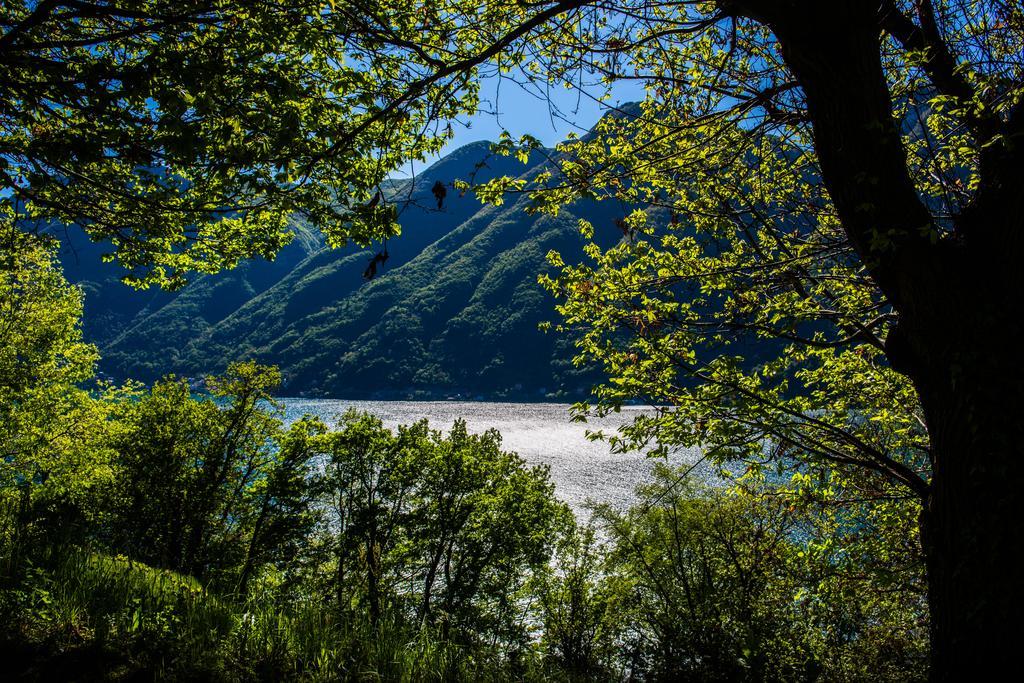 Tra Lago E Montagna Baita La Morena Nesso Eksteriør billede