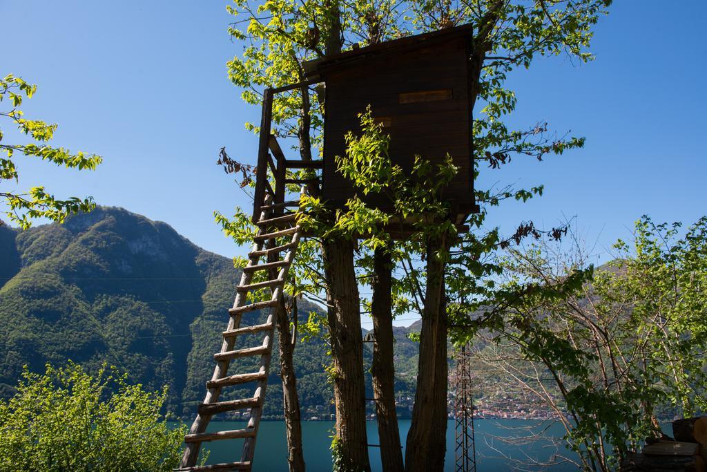 Tra Lago E Montagna Baita La Morena Nesso Eksteriør billede