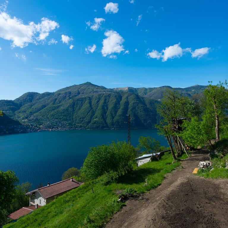 Tra Lago E Montagna Baita La Morena Nesso Eksteriør billede